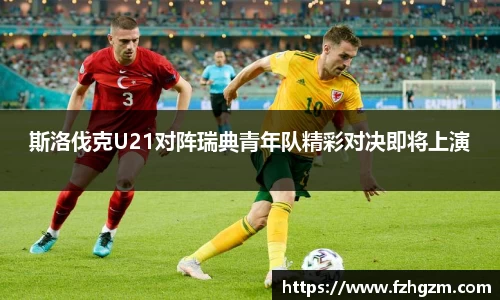 斯洛伐克U21对阵瑞典青年队精彩对决即将上演